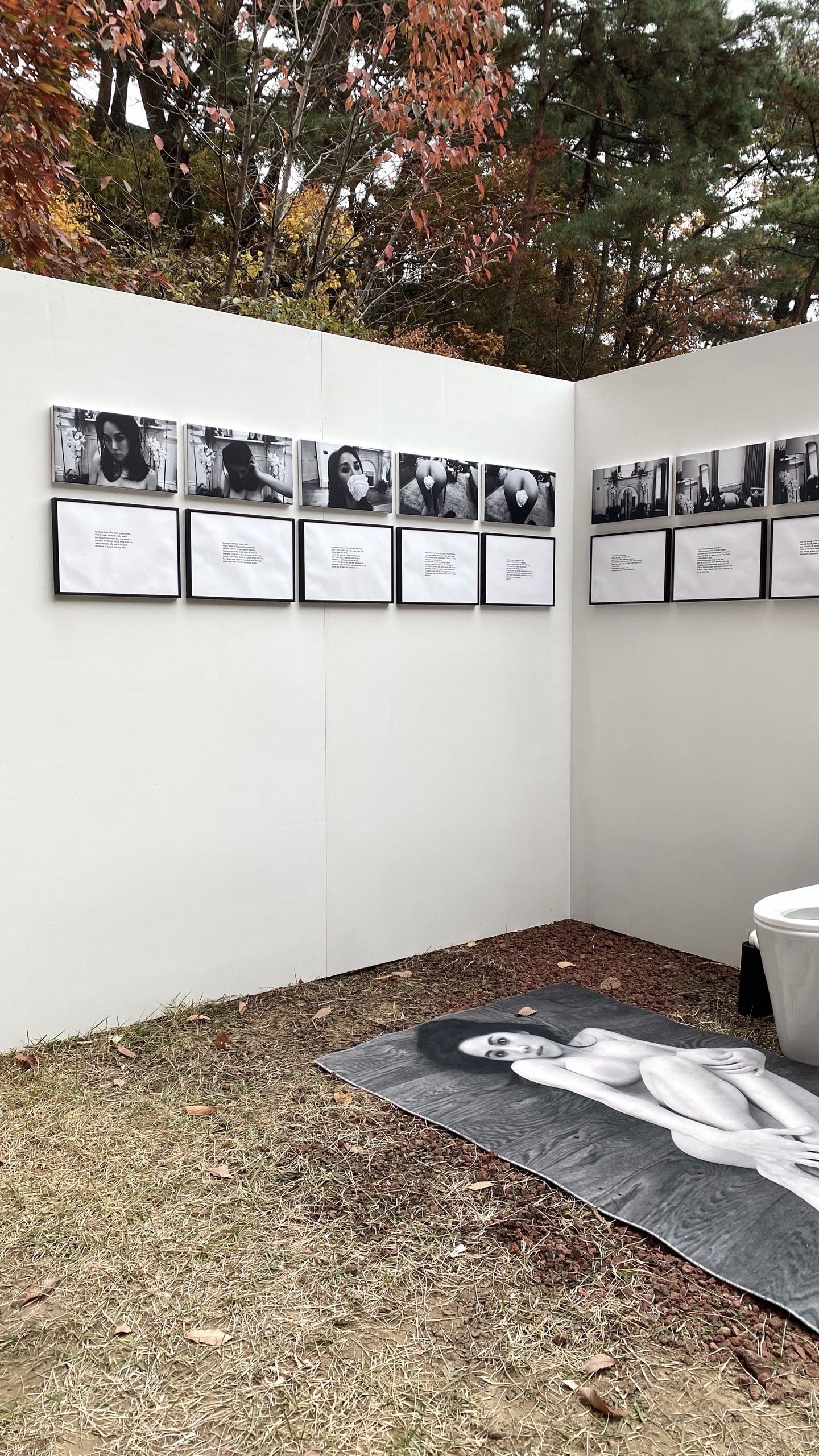 THE CLOGGED TOILET · INTAKE AND EXCRETION · EXCRETA AND LOVE, 2020, Mixed media, installation — OYOUNG (3/5)