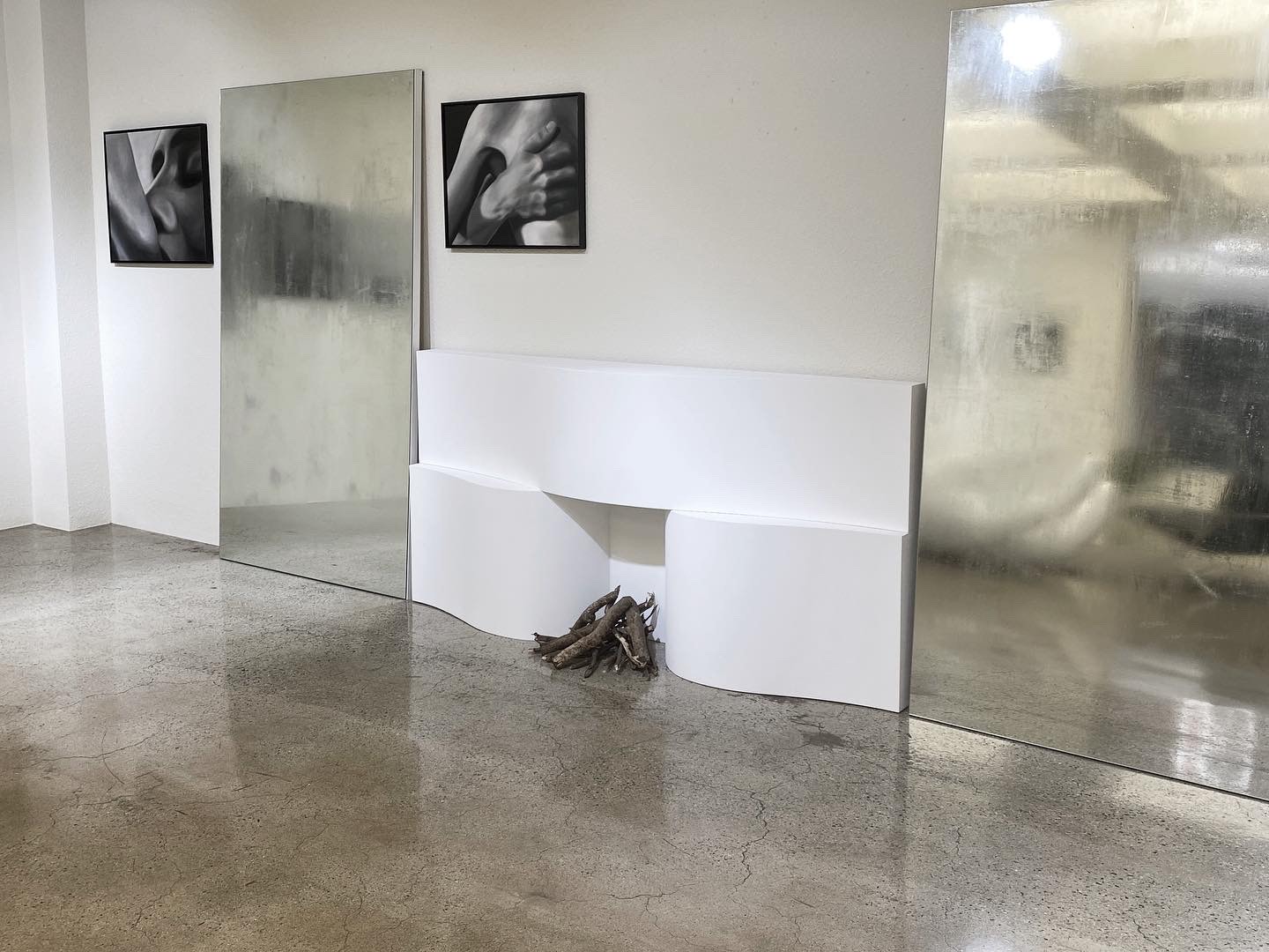 DESIRE BUT DO NOT DO, BECOME ILL installation view 2
