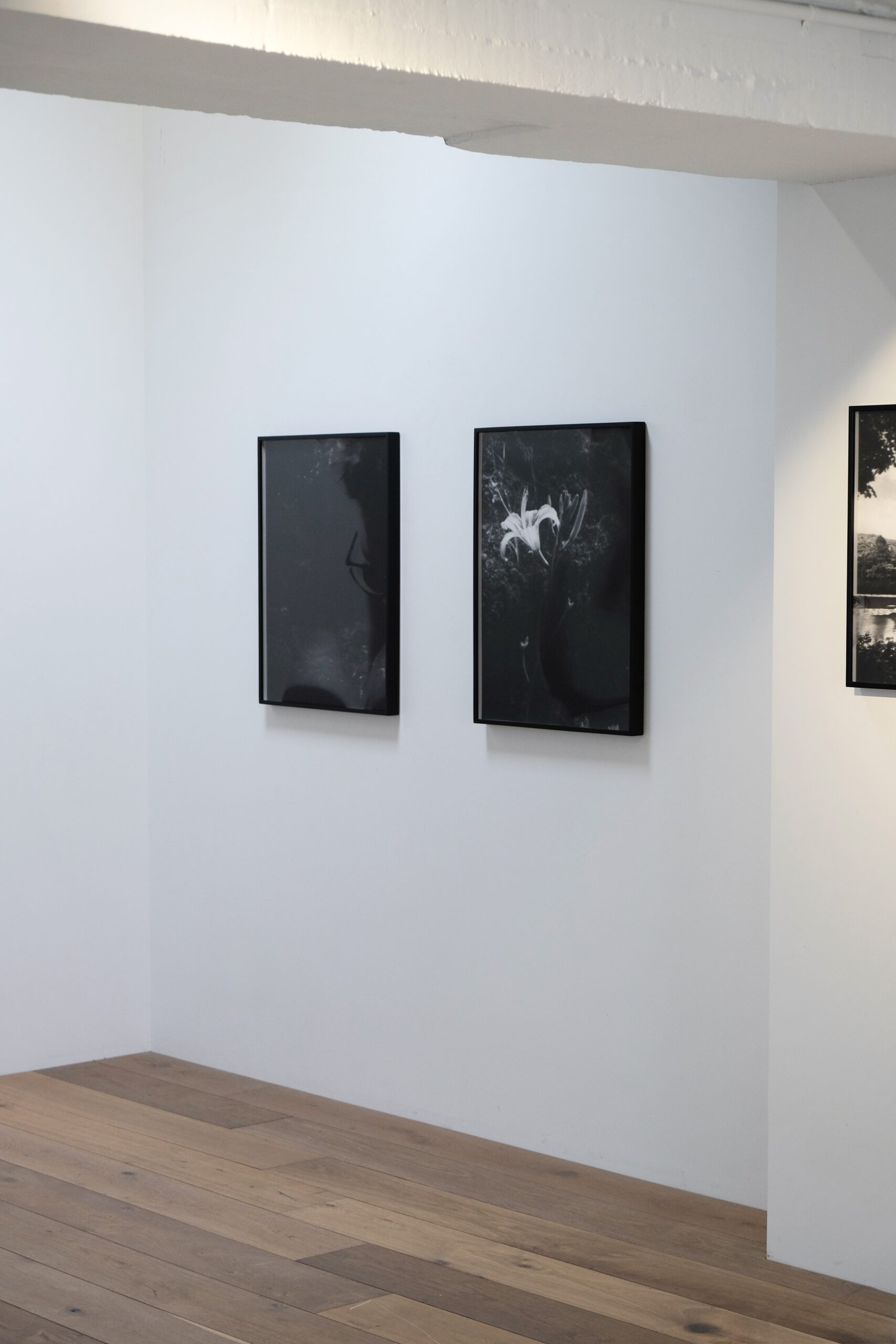 DAY, YET LINGERING LE JOUR DEMEURE work 4